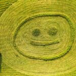 Aerial shot of a smiley face created in an agricultural field in summer.